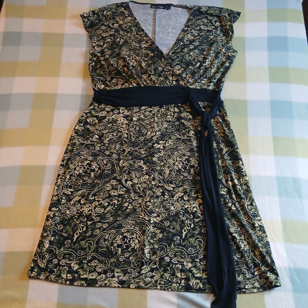Briggs New York Dress XL